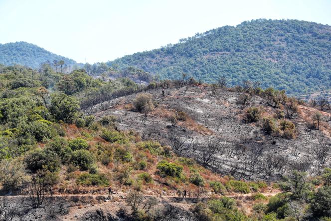 A la suite d’un incendie dans l’Esterel (Var), le 18 juillet 2025.