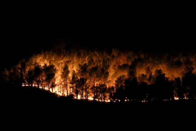 Trees burn during a fire in Martigues, France, July 18, 2025.REUTERS/Manon Cruz REFILE - QUALITY REPEAT