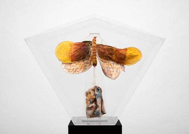 « Tarma [Mite] » (1998), de Clemen Parrocchetti.