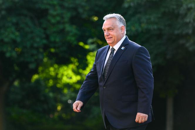 Viktor Orban, à La Haye (Pays-Bas), le 24 juin 2025.