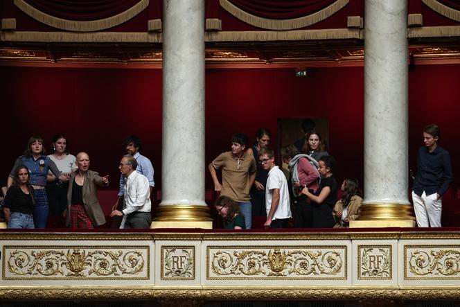 Fleur Breteau (4ᵉ à gauche), membre du collectif Cancer colère, réagit depuis la tribune publique après l’adoption de la loi Duplomb, à l’Assemblée nationale, à Paris, le 8 juillet 2025.