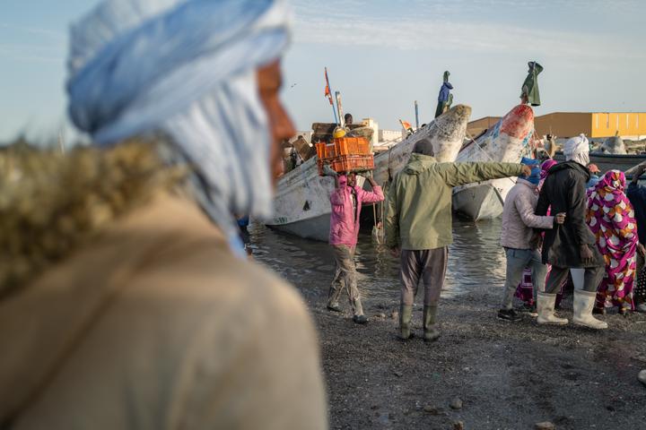 Un porteur transporte une caisse de poisson lors d’un déchargement à l’arrivée des pirogues à Nouadhibou (Mauritanie), le 16 juin 2025.
