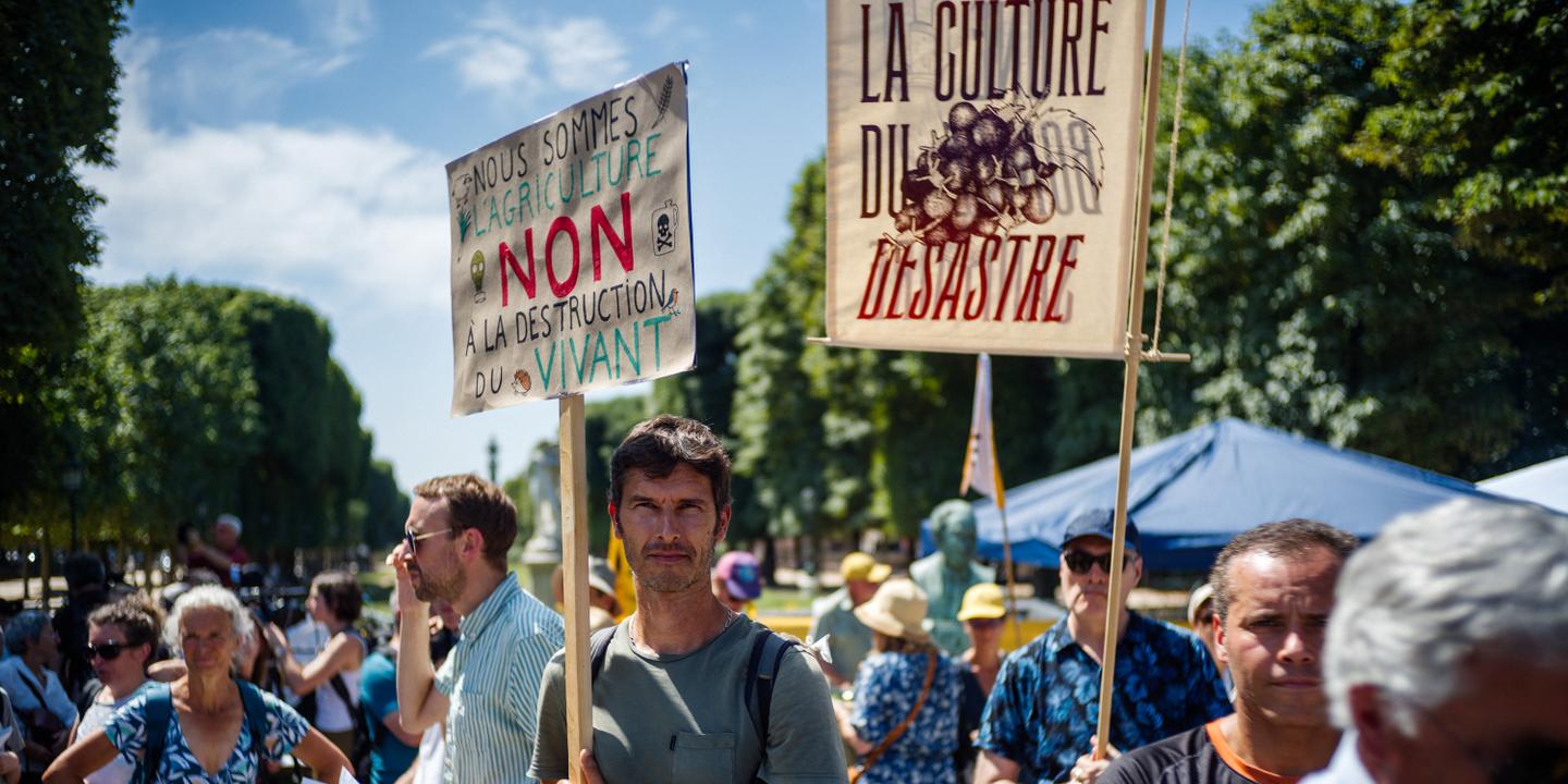 https://img.lemde.fr/2025/07/22/0/0/6000/3000/1440/720/60/0/24460d6_upload-1-e9sgrtdume7x-000-64av4wd.jpg