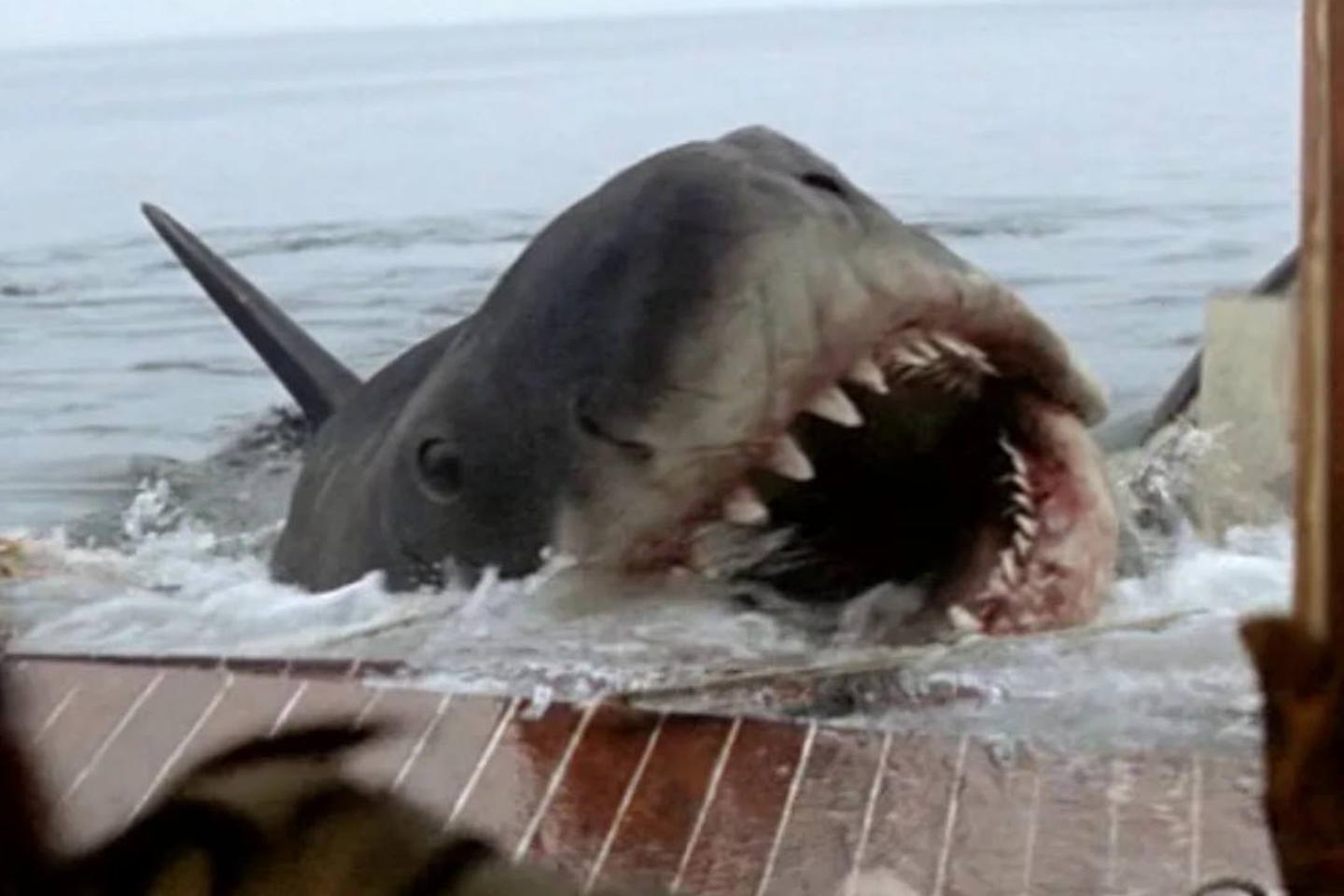 Les replays du week-end : Cerrone, requin méchant, science sans conscience, Madness