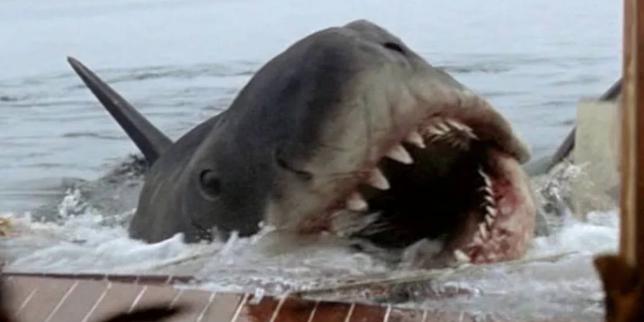 Les replays du week-end : Cerrone, requin méchant, science sans conscience, Madness