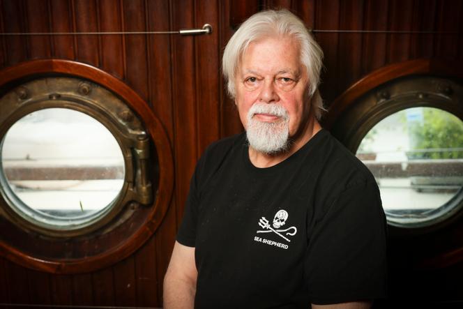 Paul Watson pose lors d’une interview, après qu’Interpol a retiré l’opposant à la chasse à la baleine de sa liste des personnes les plus recherchées, mercredi 23 juillet 2025 à Paris.