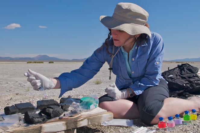 Felisa Wolfe-Simon prélève des échantillons d’une carotte sédimentaire qu’elle a extraite des rives de Ten Mile Beach, au Mono Lake, en Californie, en septembre 2010. 
