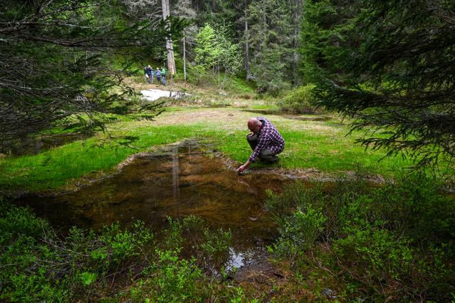 Un opposant au projet du maire de la station de ski de La Clusaz, montre le site du col des Aravis, entre la Haute-Savoie et la Savoie, où un projet de retenue d’eau devrait être construit pour alimenter les canons à neige du plateau de Beauregard, près de La Clusaz, le 7 juin 2021.