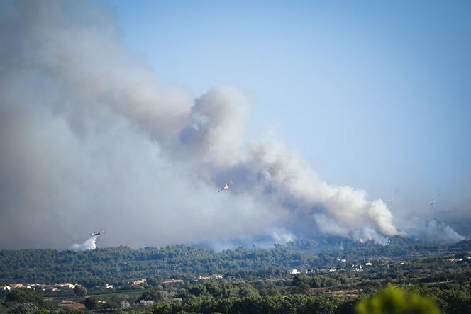 Un Canadair luttant contre un incendie, près de Sigean, dans l’Aude, le 26 juillet 2025.