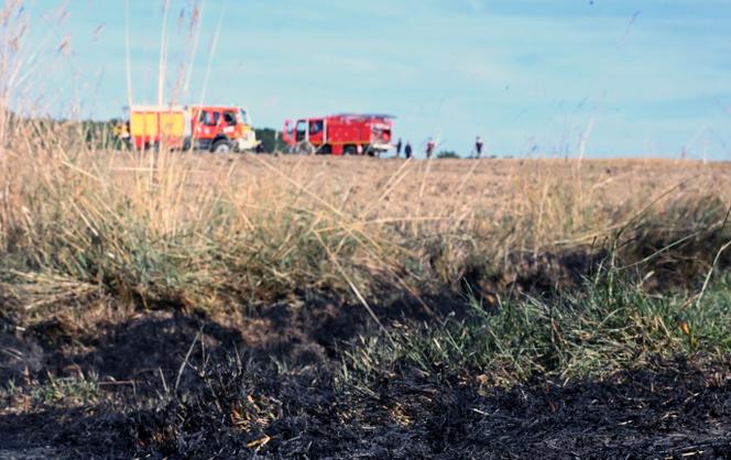 Intervention des pompiers dans un champ où le feu s’est propagé sur environ un hectare, en pleine récolte agricole, à Romans (Isère), le 24 juin 2025.