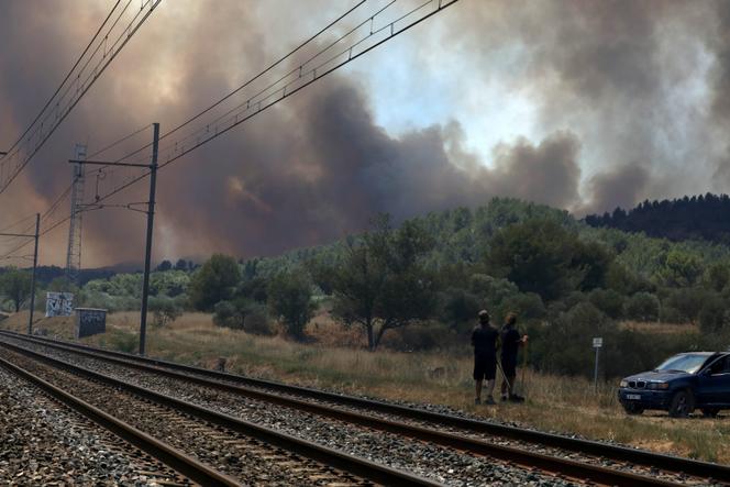 Lors de l’incendie de 1 600 hectares de pinède et de garrigue dans la Montagnette, le long du chemin de fer Fos-Avignon, dans les Bouches-du-Rhône, le 15 juillet 2022.