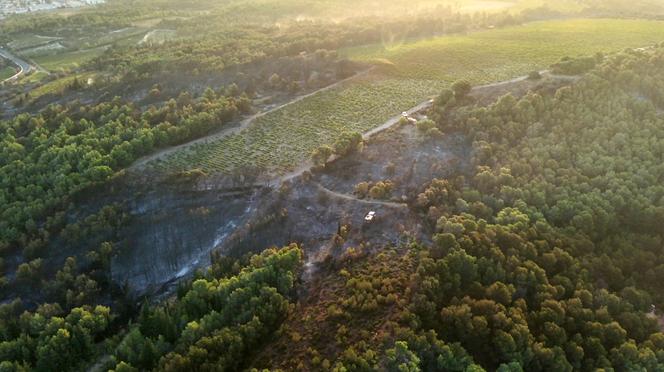 Cette photographie aérienne prise le 27 juillet 2025, publiée par le service départemental d’incendie et de secours de l’Aude, montre un véhicule de pompiers au milieu d’arbres calcinés lors d’un incendie de forêt près de Sigean. 