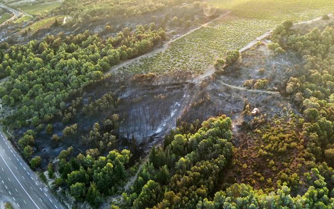 Une photographie aérienne prise le 27 juillet 2025 et publiée par le SDIS 11 (Service départemental d’incendie et de secours) montre un véhicule de pompiers au milieu d’arbres calcinés lors d’un incendie de forêt près de Sigean, dans le sud de la France.