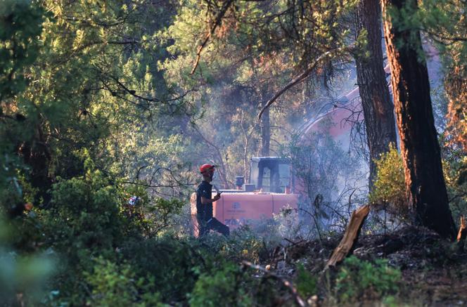Firefighters work to extinguish a wildfire in Bursa, Turkey, on July 27, 2025.
