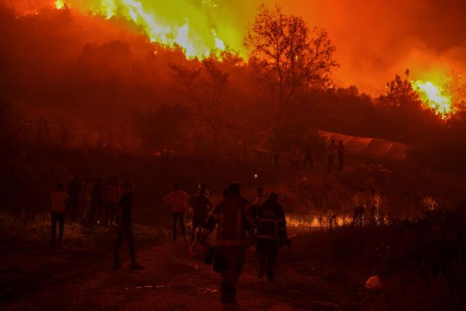 Des habitants et des pompiers tentent d’éteindre un feu de forêt alors que la fumée et les flammes s’élèvent d’une zone boisée dans le district de Gursu à Bursa, le 27 juillet 2025.