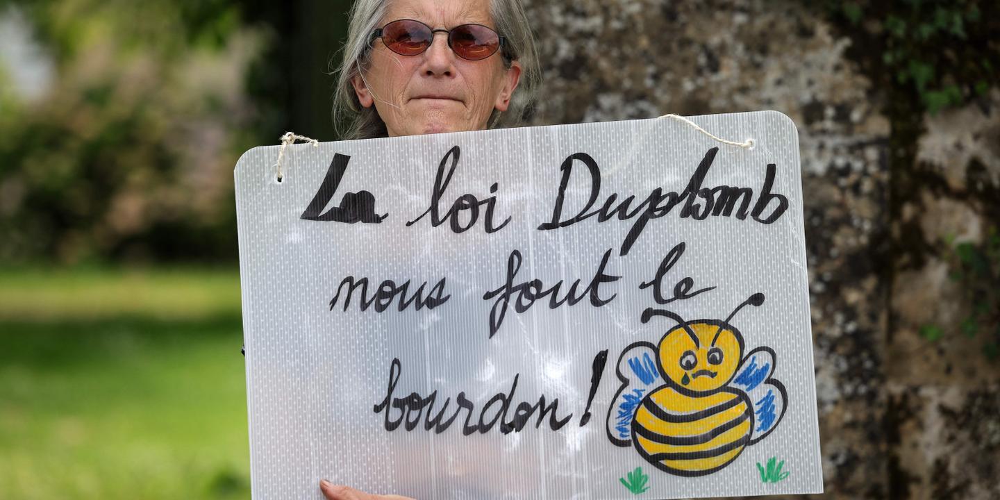 Loi Duplomb : l'Assemblée nationale rouvre le débat sur un texte controversé