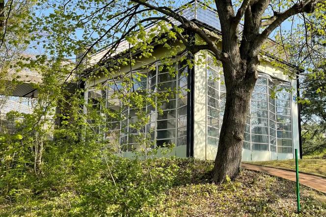 L’un des bâtiments de l’ancienne école de plein air, où devrait ouvrir le Musée-mémorial du terrorisme, à Suresnes (Hauts-de-Seine).