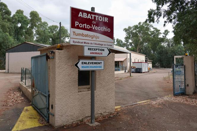 A l'entrée de l'abattoir de Porto-Vecchio (Corse-du-Sud), le 30 juillet 2025.