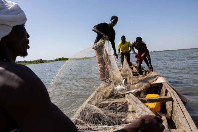 Des pêcheurs près du camp de déplacés de Bibi Barkalia, dans la province du Lac, au Tchad, le 24 juin 2025.