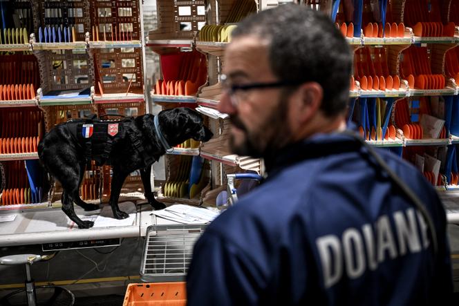 Un agent de la douane avec son chien contrôle la présence de drogue dans les râteliers de tri du courrier dans la plateforme industrielle de la Poste à Colombelles (Calvados), le 28 novembre 2024.