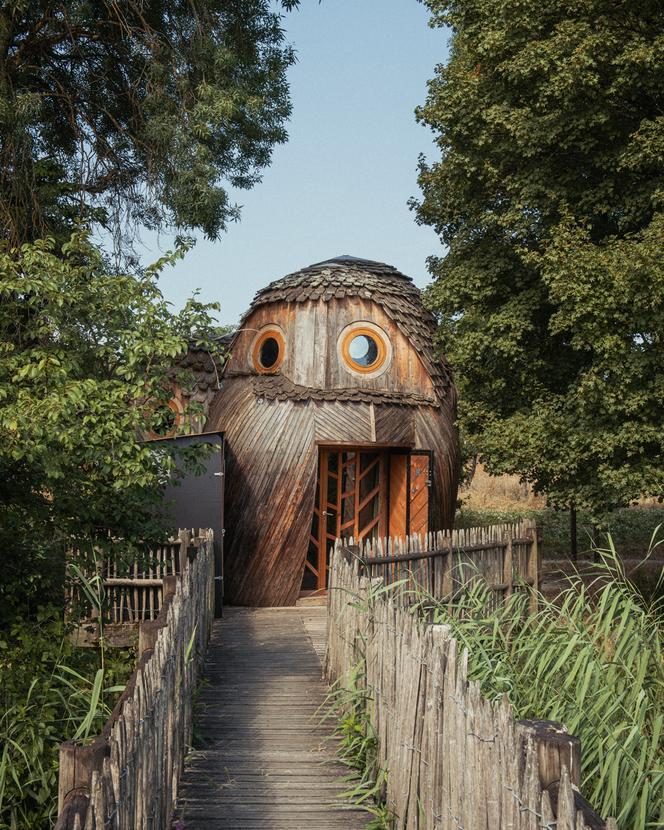 Le refuge Les Guetteurs, à Bègles (Gironde), le 4 juillet 2025.