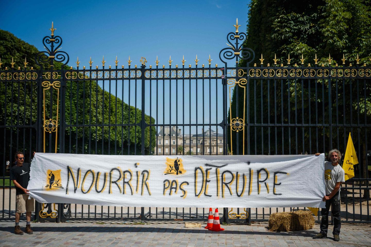 Loi Duplomb : le Conseil constitutionnel censure les dispositions autorisant la réintroduction de l’acétamipride