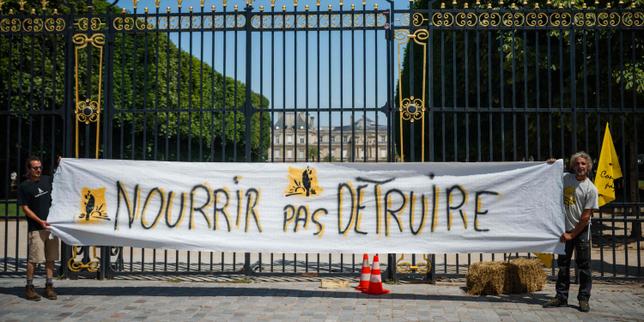 Loi Duplomb : le Conseil constitutionnel censure les dispositions autorisant la réintroduction de l’acétamipride thumbnail