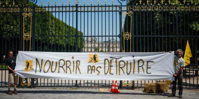 French Constitutional Council strikes down return of banned pesticide
