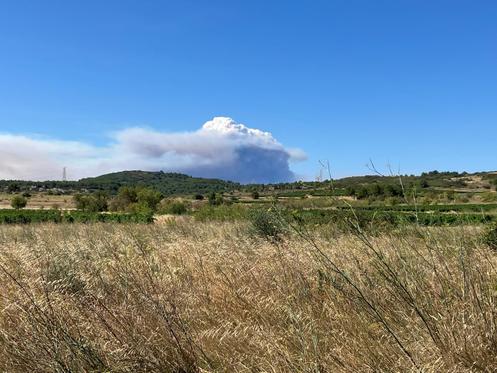 Fumée s’élevant de l’incendie, aperçue à une trentaine de kilomètres du massif des Corbières (Aude), le 6 août 2025.