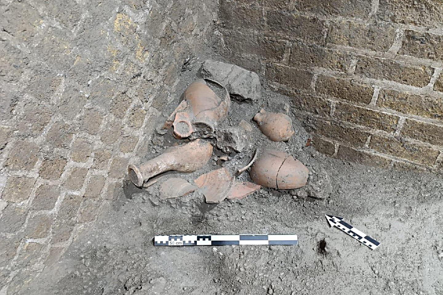 In Pompeii, new evidence shows signs of life post-eruption