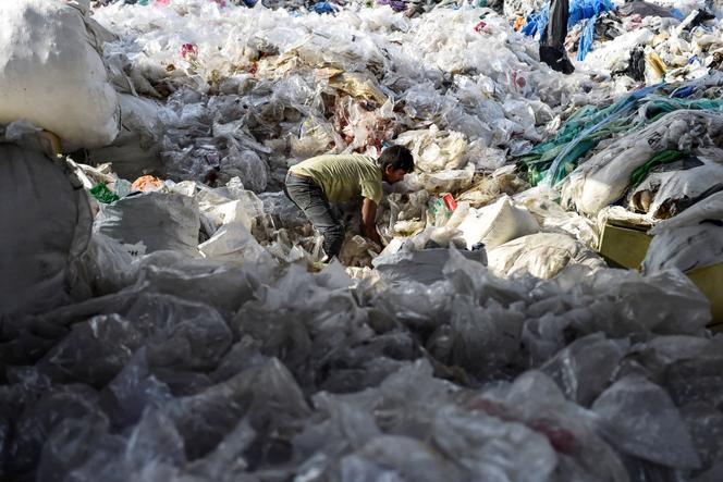 Un ouvrier trie des déchets plastiques recyclables dans un entrepôt de Jalandhar, en Inde, le 4 juin 2025.