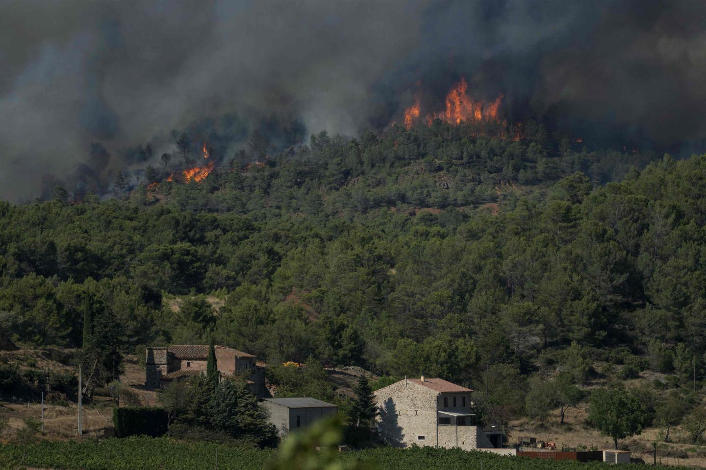 Incendie dans lâ€™AudeÂ : Â«Â Câ€™est dramatique, les conifÃ¨res brÃ»lent comme...