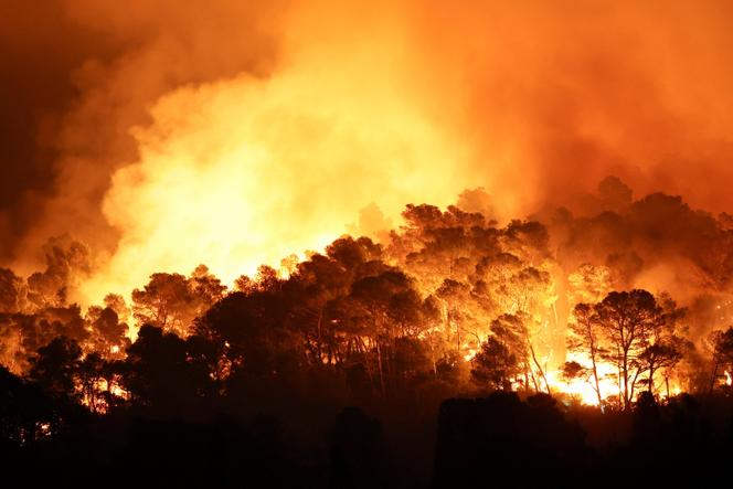 Images Le Monde.fr