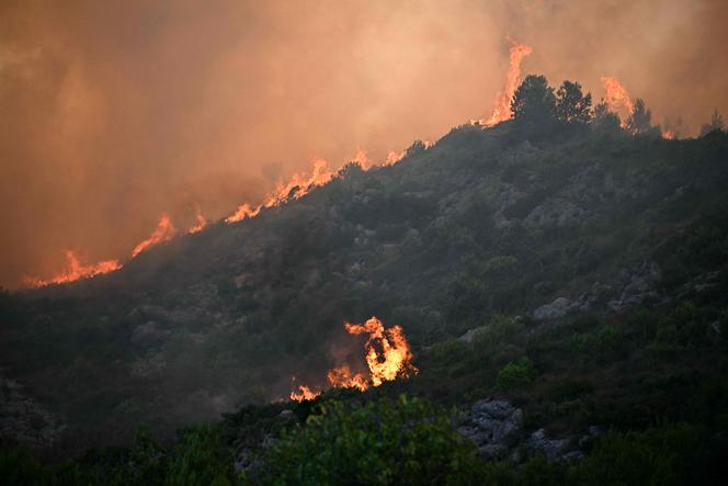 Une forêt en proie aux flammes, près de Fontjoncouse, dans l’Aude, le 6 août 2025.