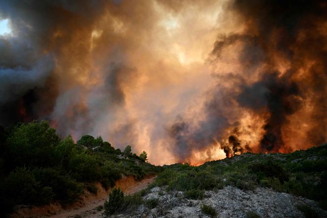 Une forêt est en proie aux flammes alors que l’incendie fait rage près de Fontjoncouse (Aude), le 6 août 2025.