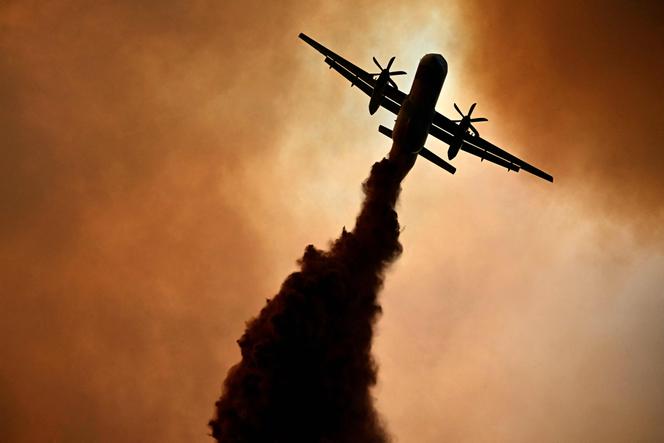 Un Canadair près de Fontjoncouse, dans le massif des Corbières (Aude), le 6 août 2025.