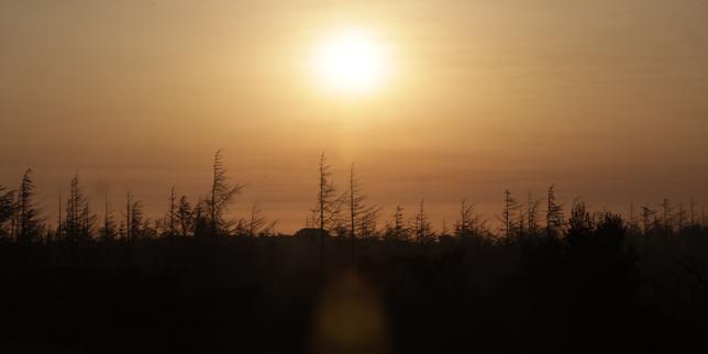 Canicule : 28 départements du Sud en vigilance orange samedi midi, puis 40 dimanche