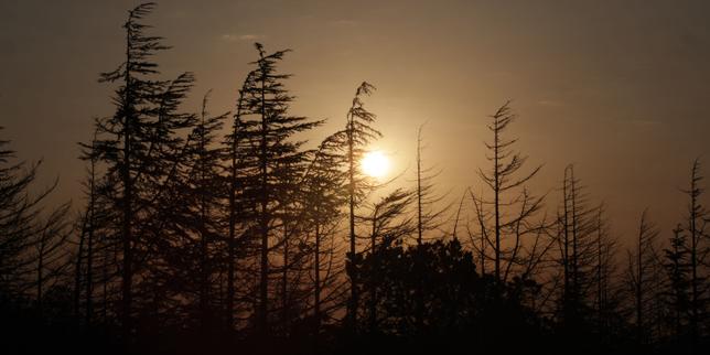Canicule : une vague de chaleur étouffante avec des températures proches des 40 °C dans tout le sud de la France
