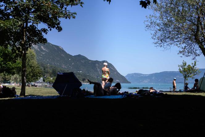 Des vacanciers se réfugient à l’ombre des arbres au bord du Lac du Bourget (Savoie), le 8 août 2025.