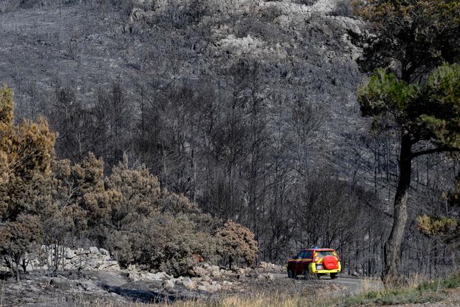 Images Le Monde.fr
