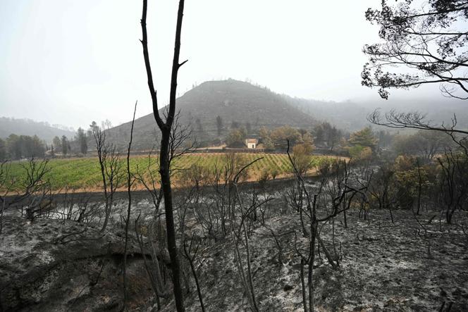 Images Le Monde.fr