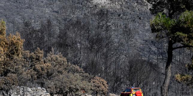 En direct, incendie dans l’Aude : l’immense feu n’est pas encore maîtrisé ; « La biodiversité en a pris un coup », selon l’ONF