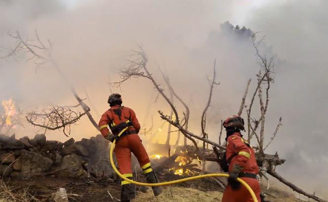Des pompiers luttent contre un incendie à San Bartolomé de Pinares, dans la région espagnole de Castille-et-León, le 9 août 2025.