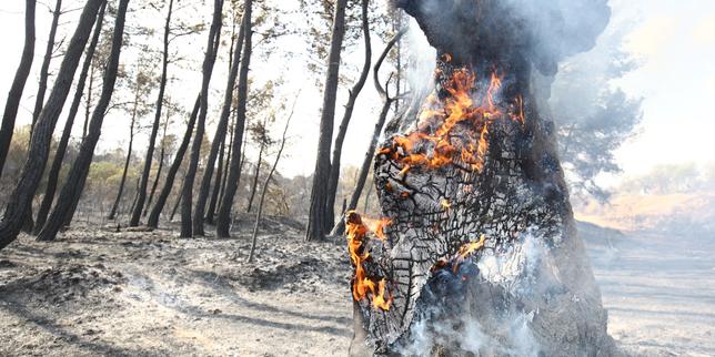 En direct, incendie dans l’Aude : les pompiers craignent une reprise du feu, qui ne pourra pas être sous contrôle avant dimanche soir