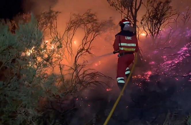 Capture d’écran tirée d’une vidéo diffusée par l’Unité militaire d’urgence (UME), le 10 août 2025, montrant des pompiers luttant contre un feu de forêt à Orallo, au nord-ouest de l’Espagne.