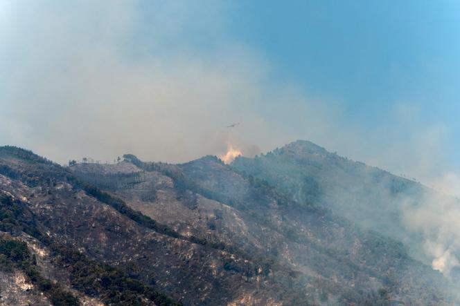 Un avion Canadair largue de l’eau sur un incendie de forêt dans le parc national du Vésuve, près de Naples, le 10 août 2025.