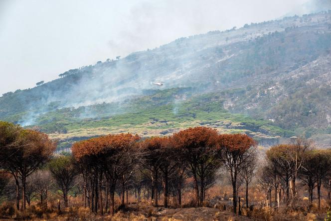 Un hélicoptère survole les arbres alors que de la fumée s’élève de l’incendie de forêt dans le parc national du Vésuve, près de Naples, le 10 août 2025. 