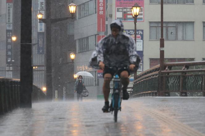 Dans la ville de Kumamoto, préfecture de Kumamoto, dans le sud-ouest du Japon, le 11 août 2025.