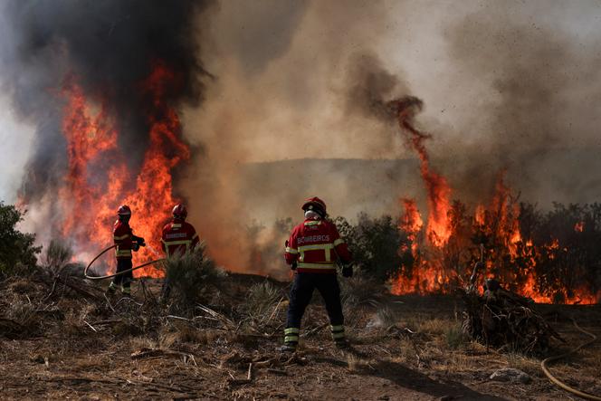 Des pompiers luttent contre un incendie à Trancoso, au Portugal, le 11 août 2025.