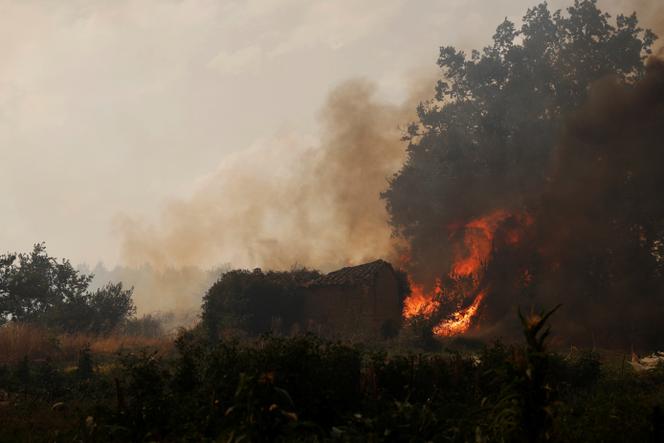 Un incendie à Congosta (Espagne), le 11 août 2025. 
